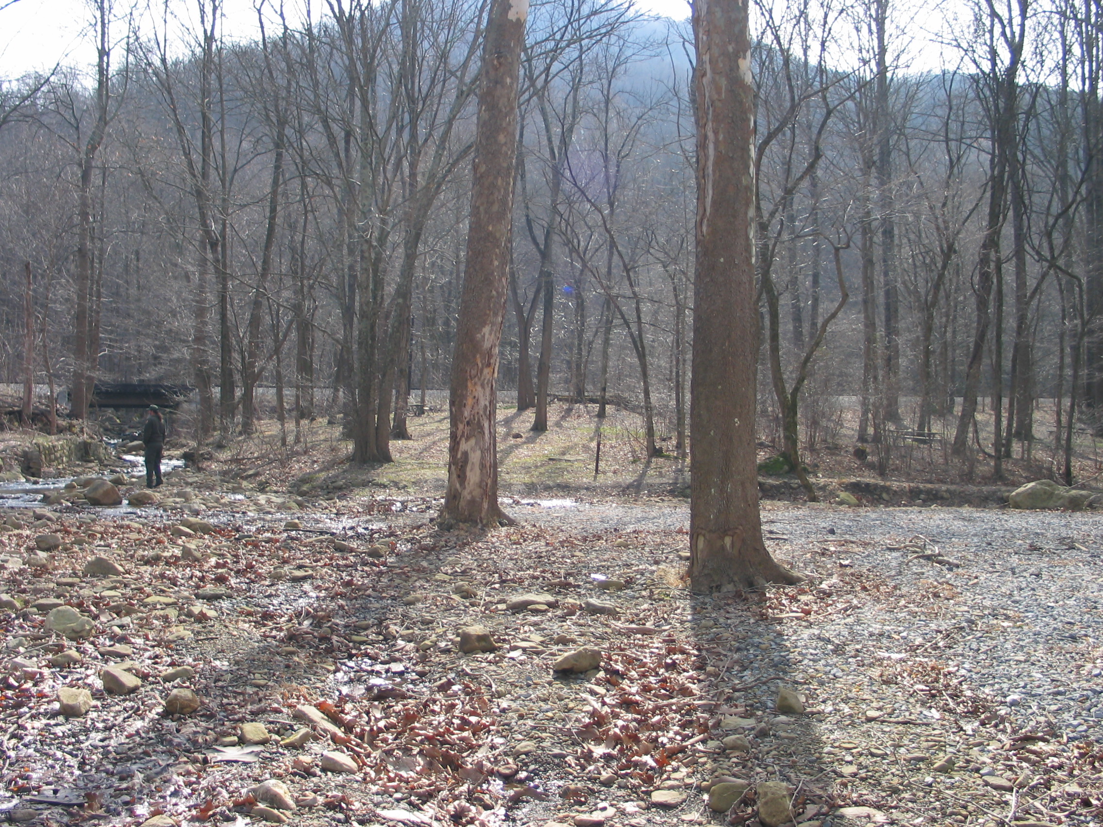 Thayer Campground photo