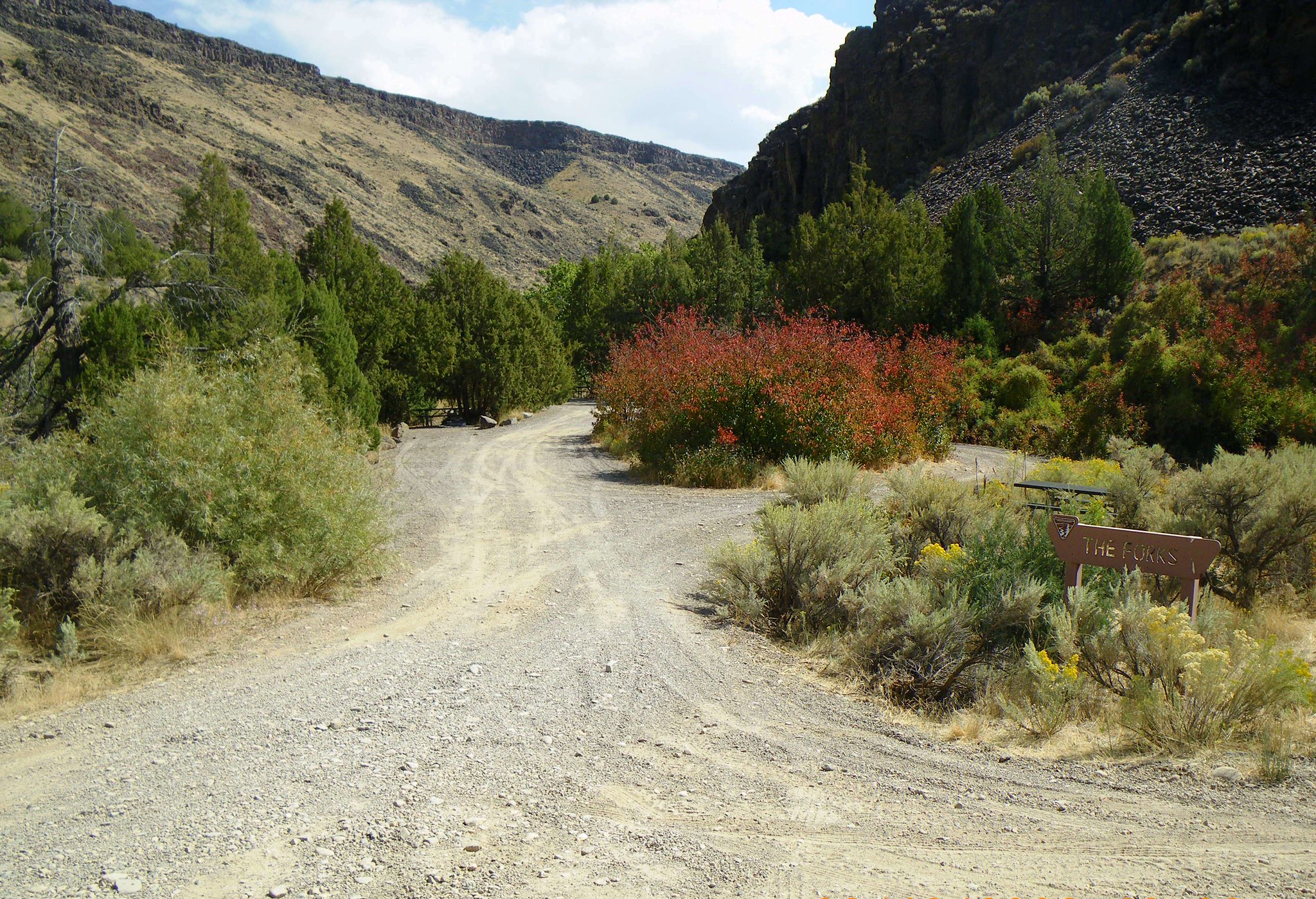 The Forks Campground photo