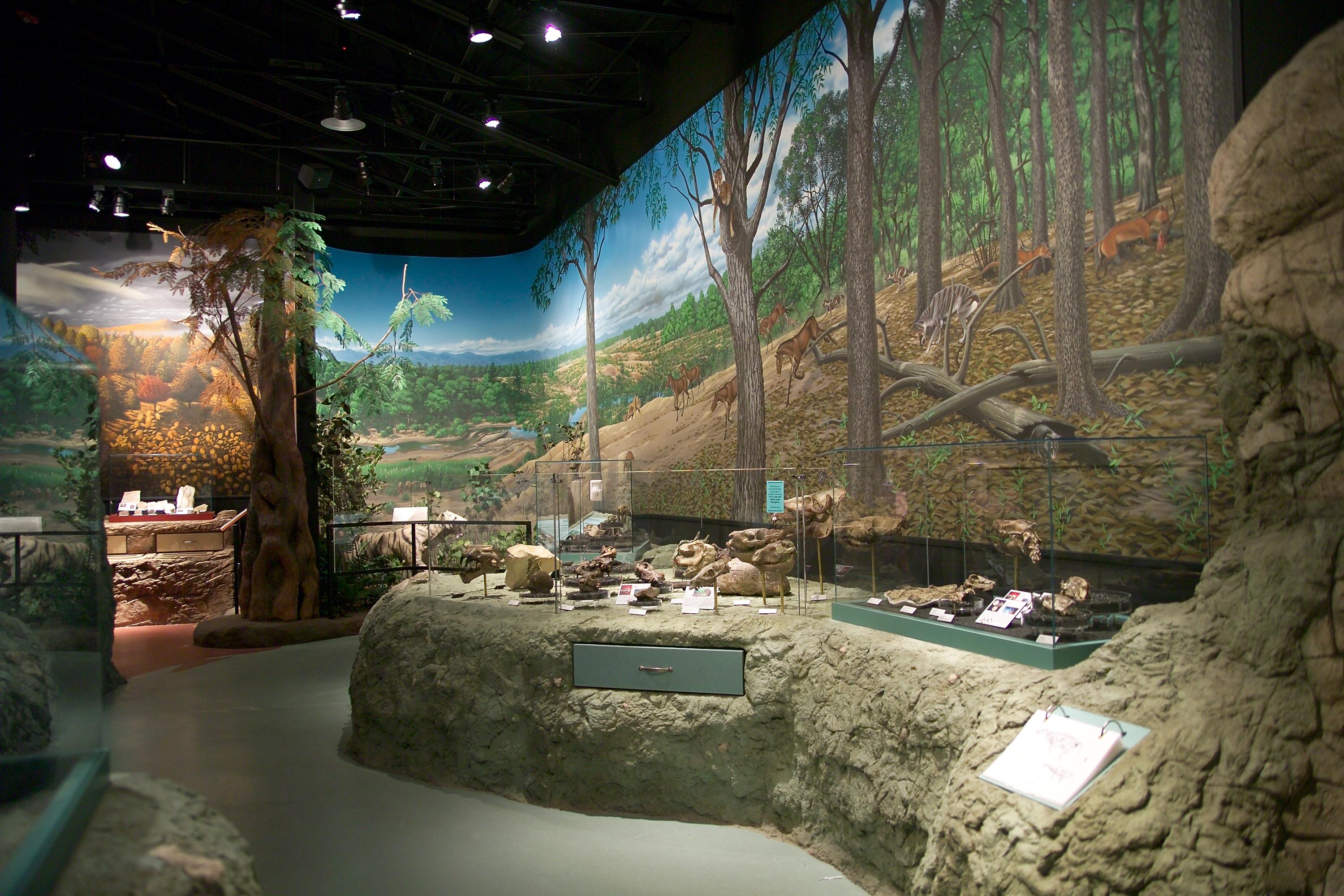 Thomas Condon Visitor Center photo 2