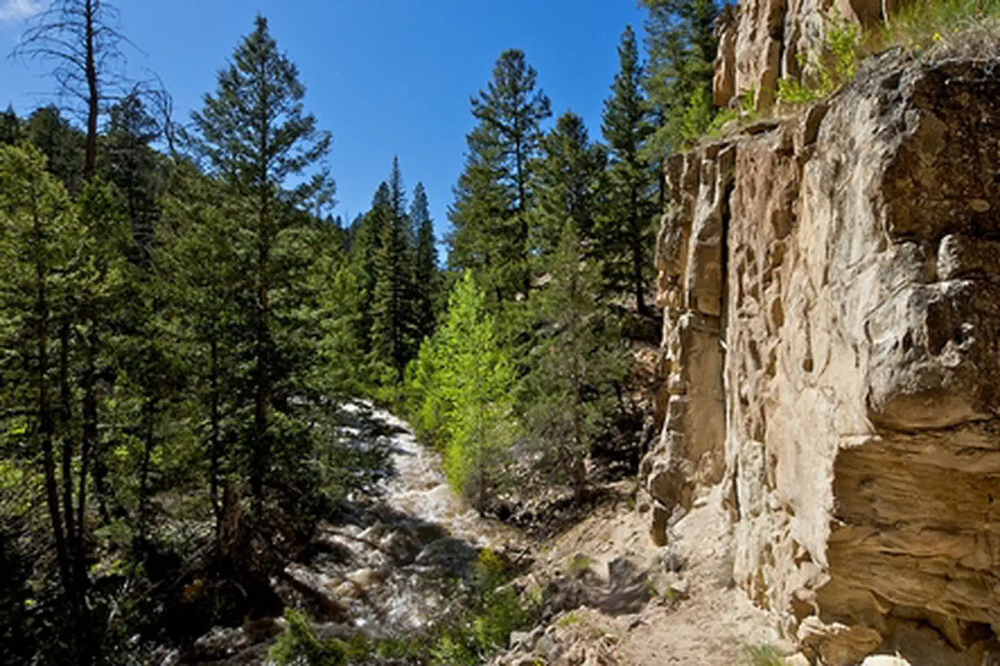 Thompson Creek Campground photo