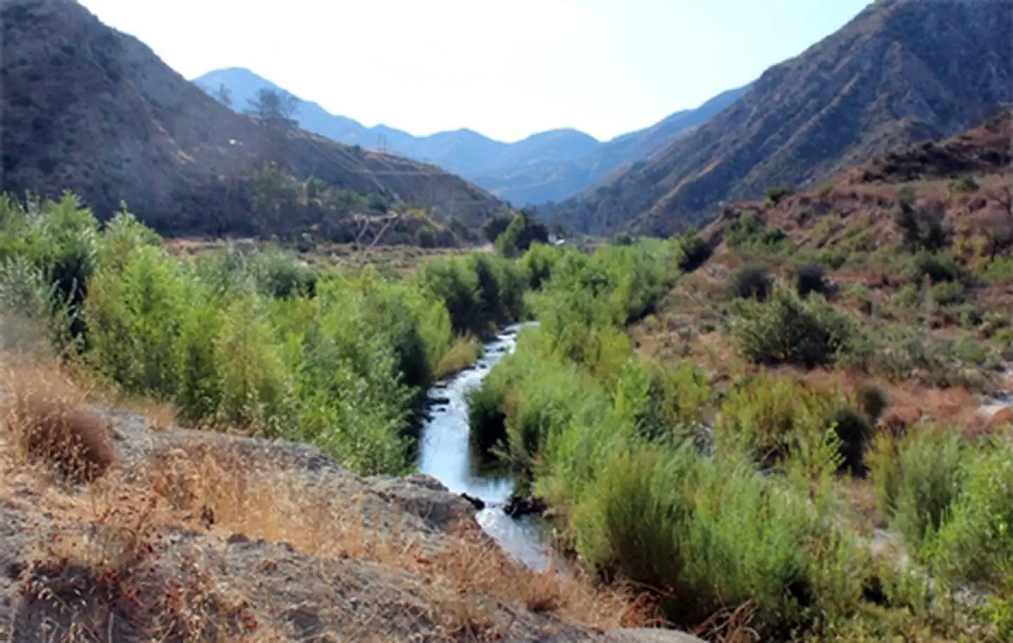 Thompson Creek Campground photo 2