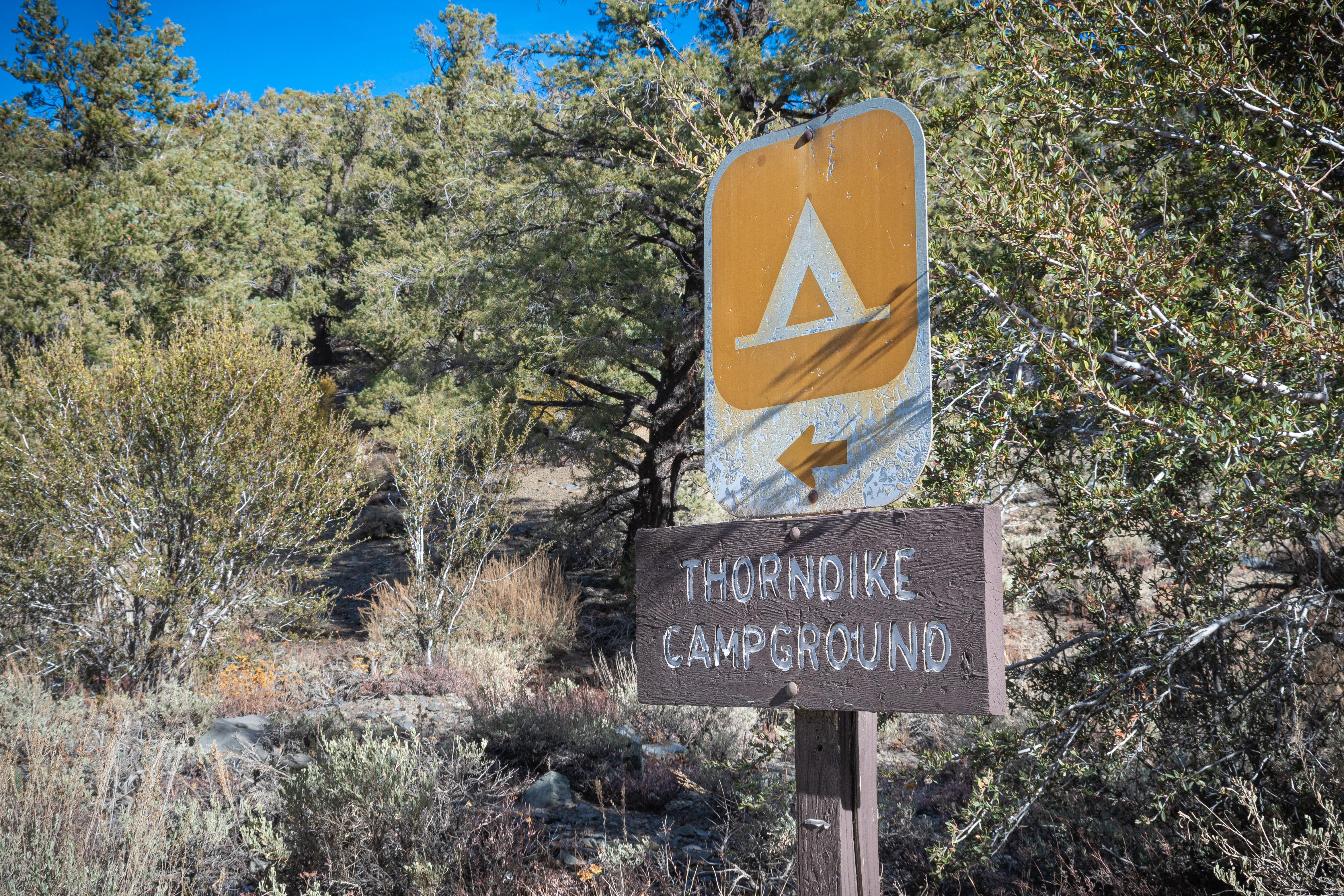 Thorndike Campground (Primitive) photo