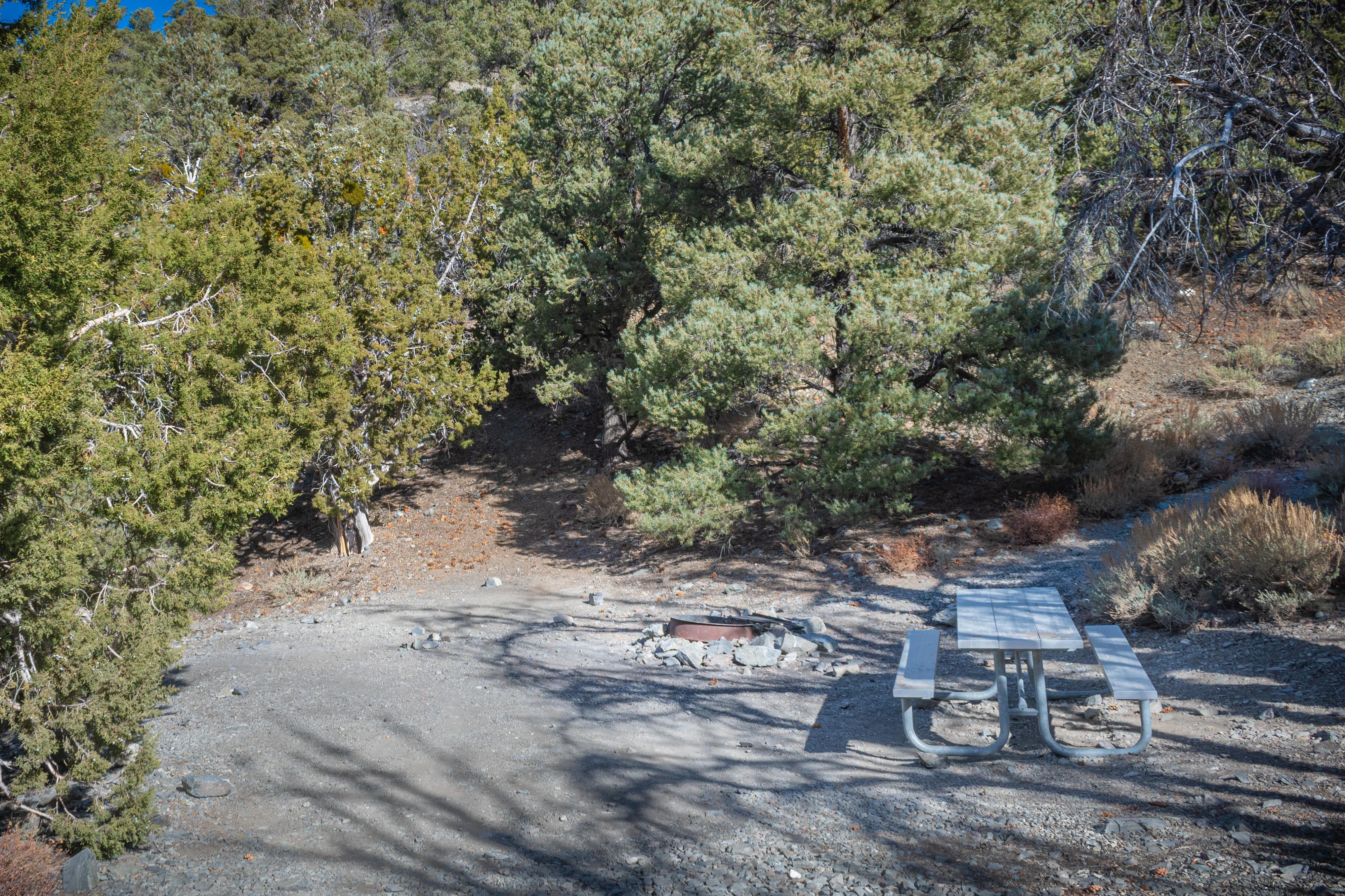 Thorndike Campground (Primitive) photo 2