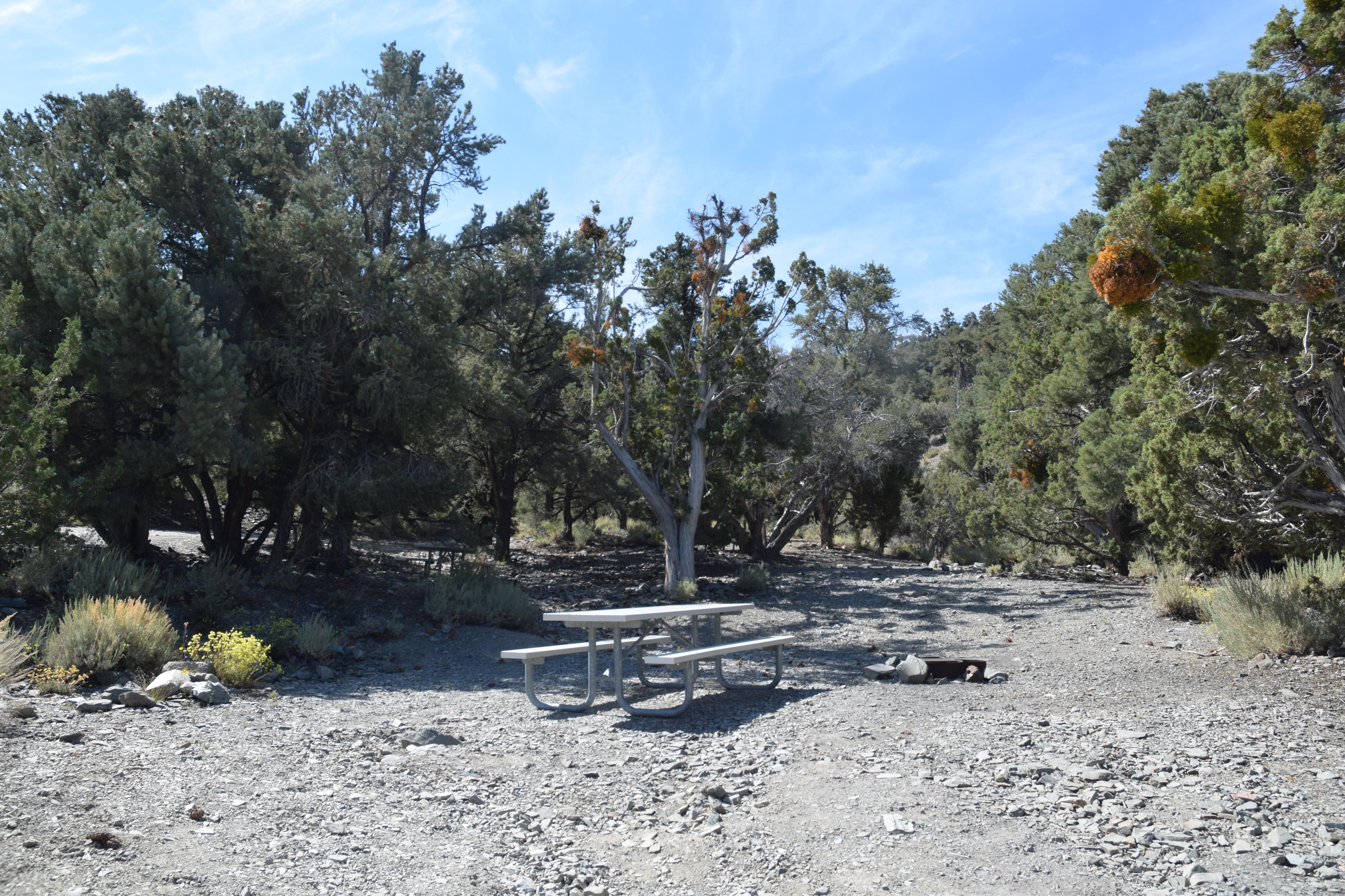 Thorndike Campground (Primitive) photo 5