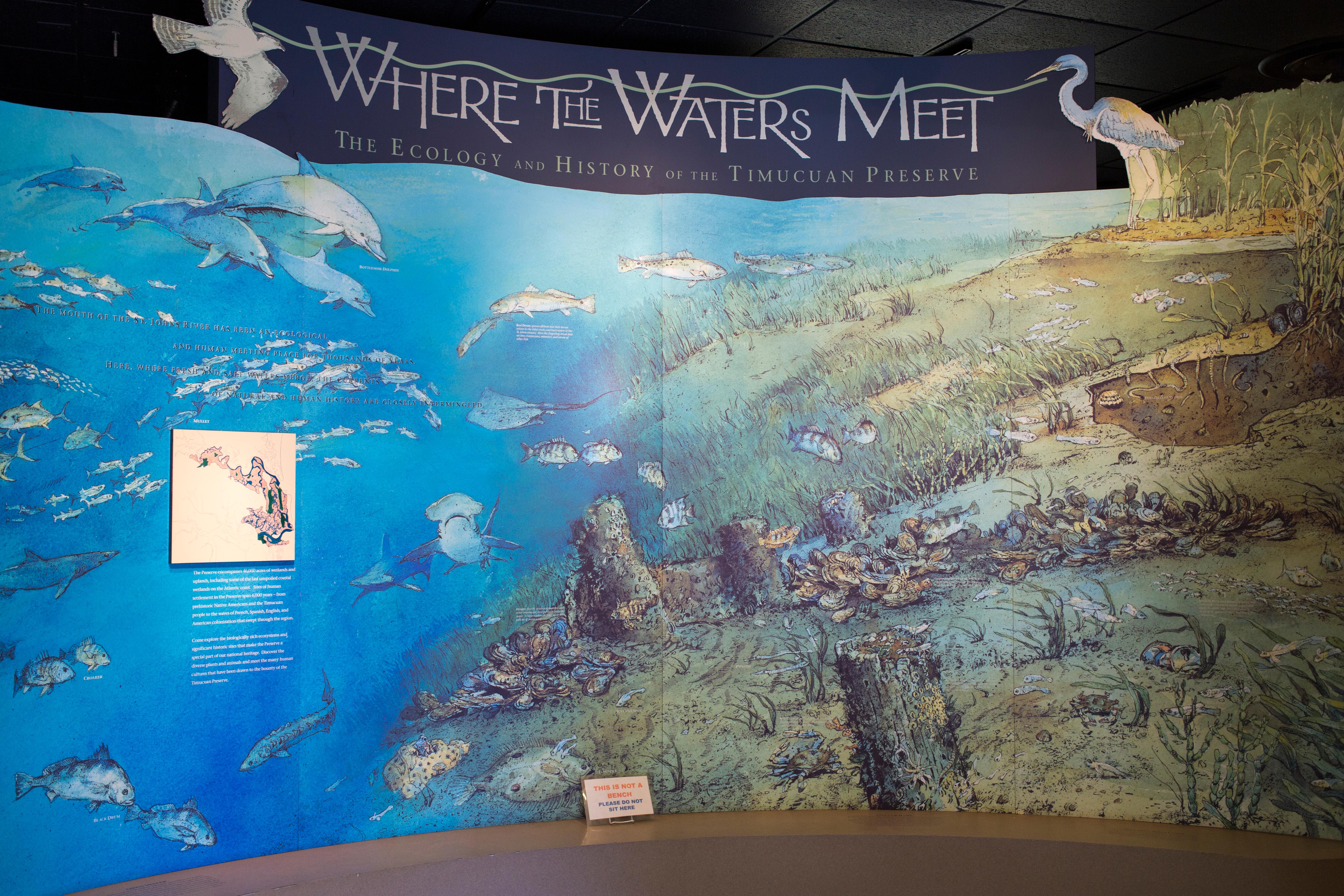 Timucuan Preserve Visitor Center at Fort Caroline photo 3