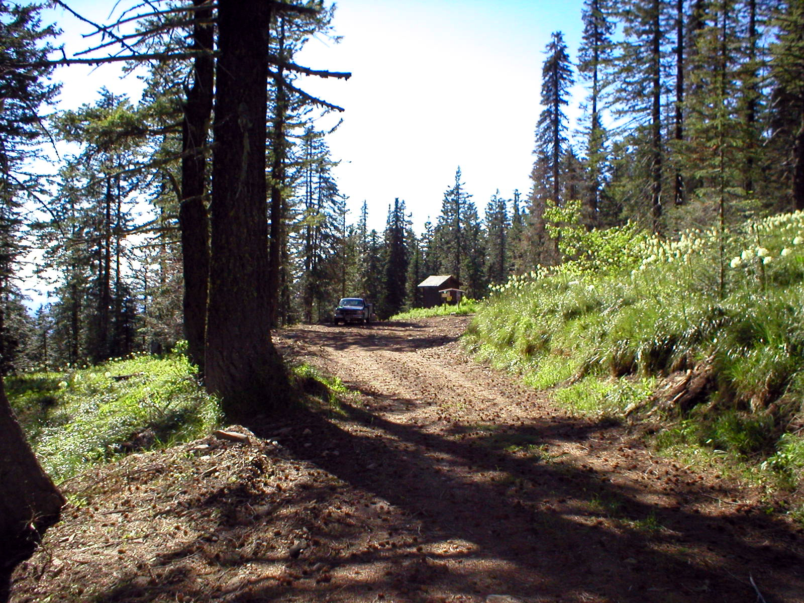 Tingley Spring photo