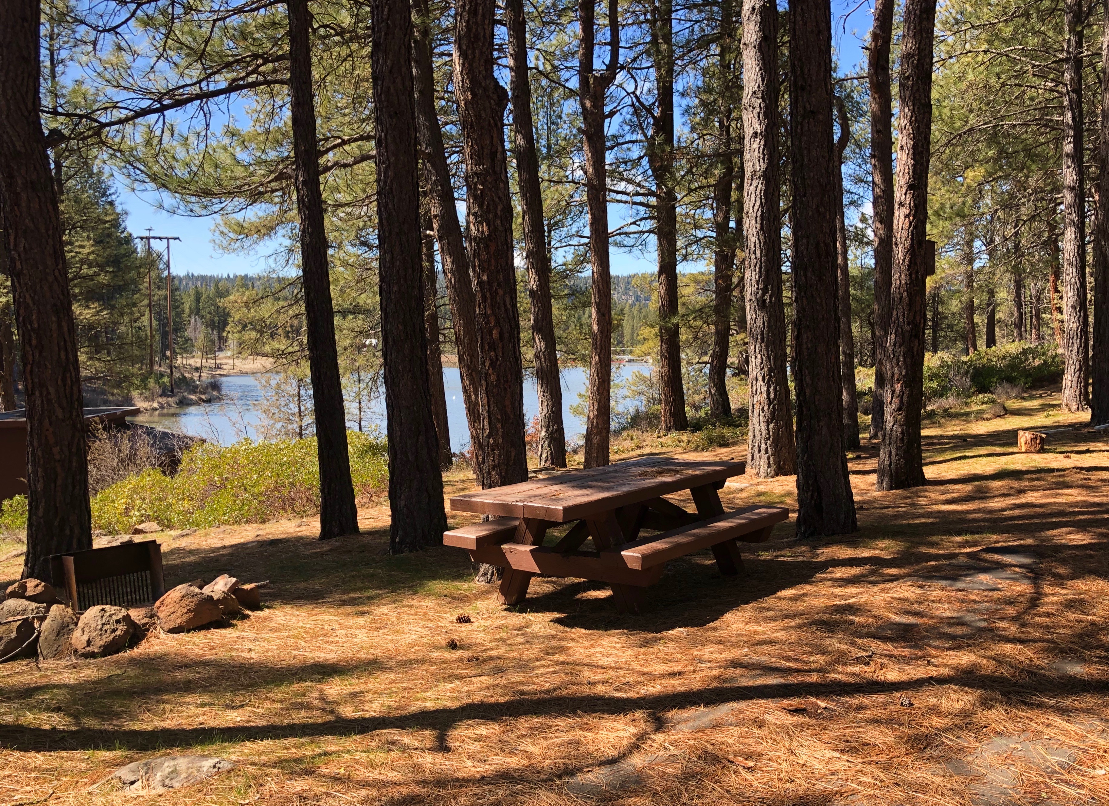 Topsy Campground photo 3