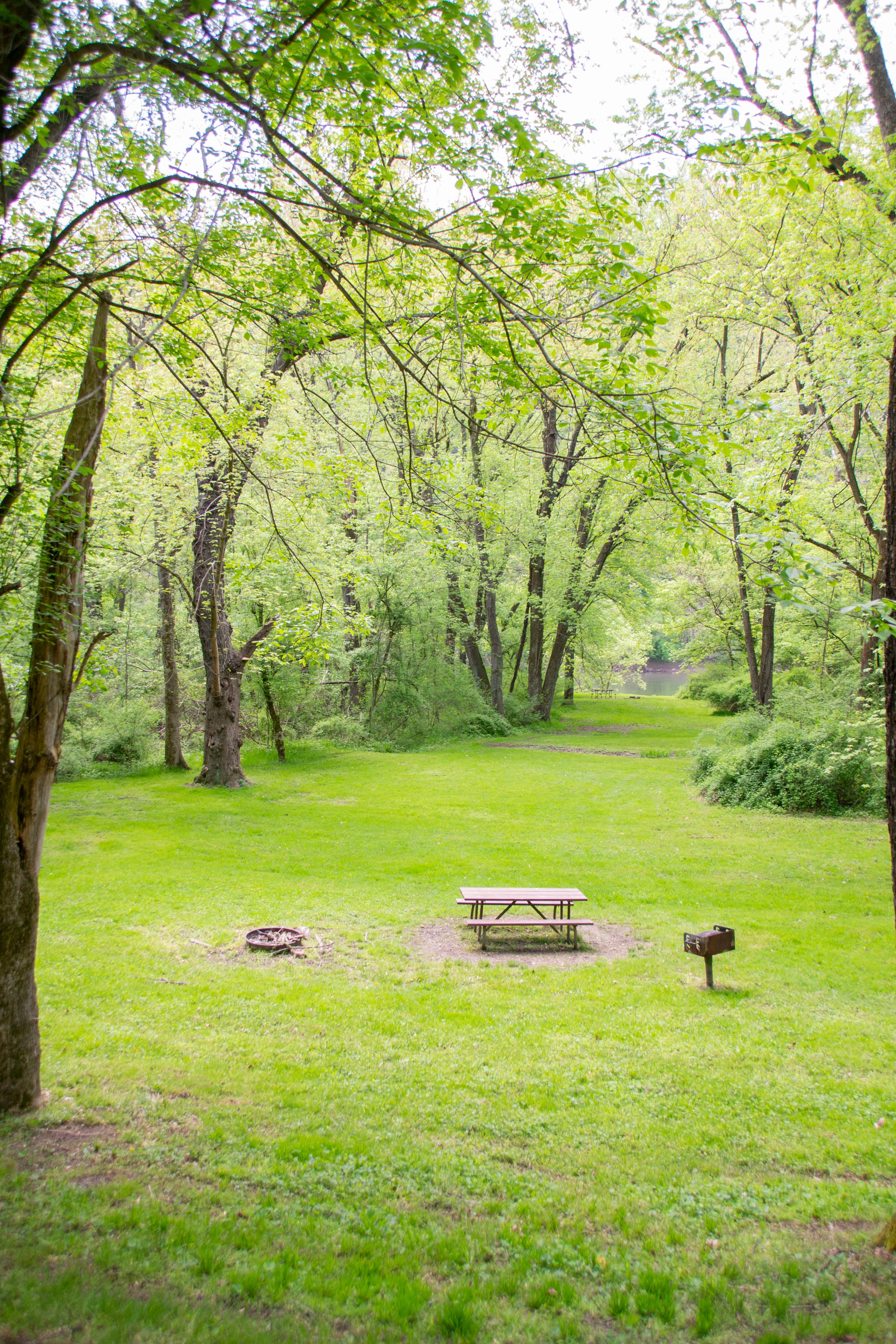 Town Creek Hiker-Biker Overnight (HBO) Campsite photo