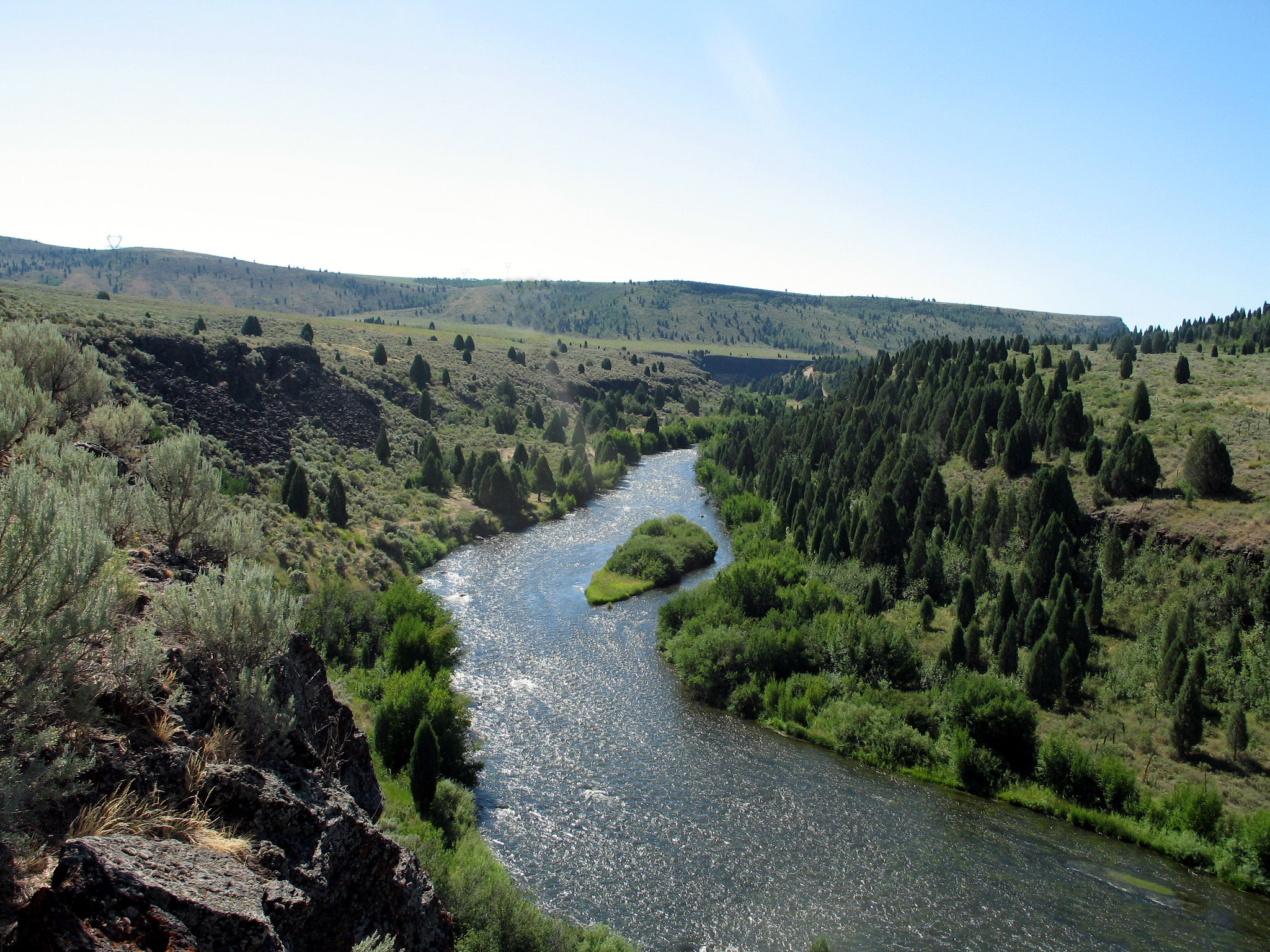 Trail Creek Bridge Campground photo
