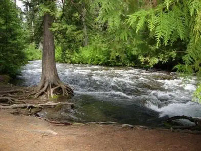 TUMWATER GROUP SITE photo