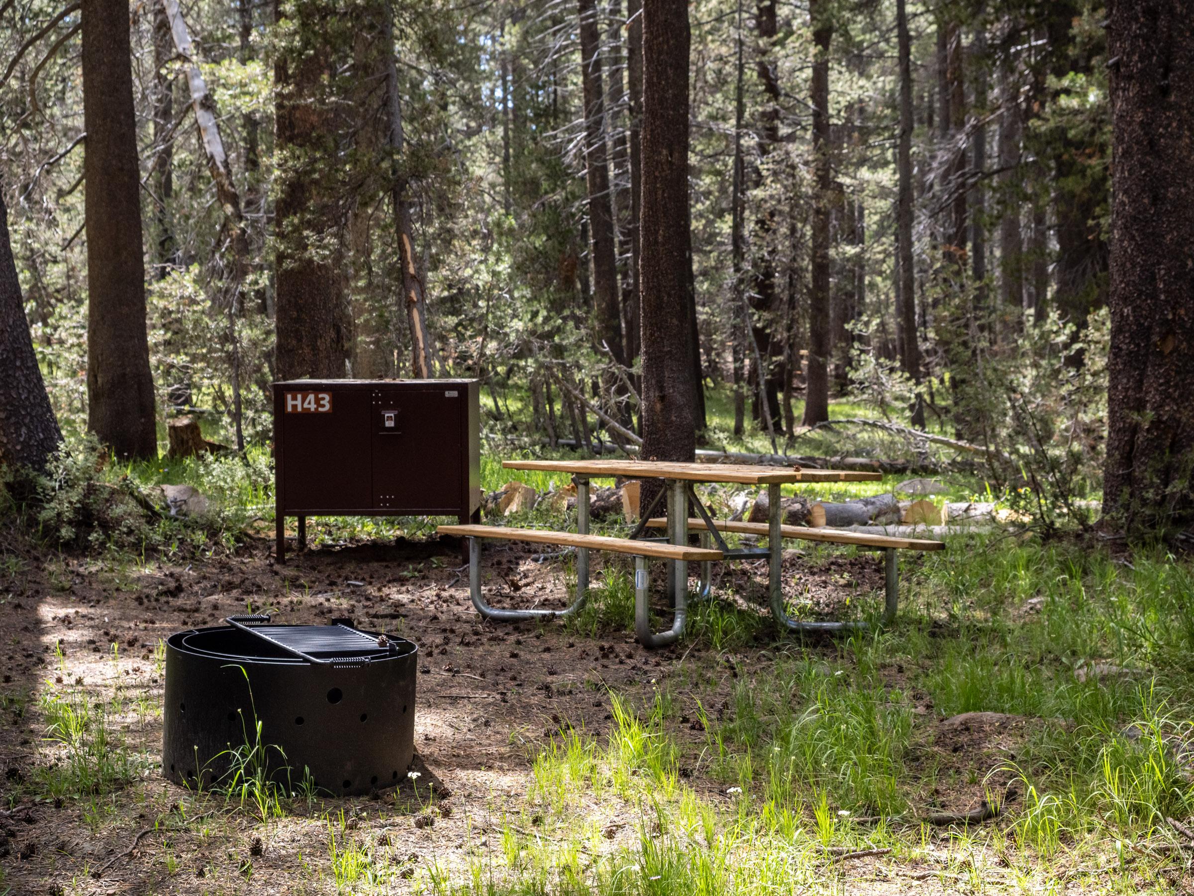 Tuolumne Meadows Visitor Center photo 3