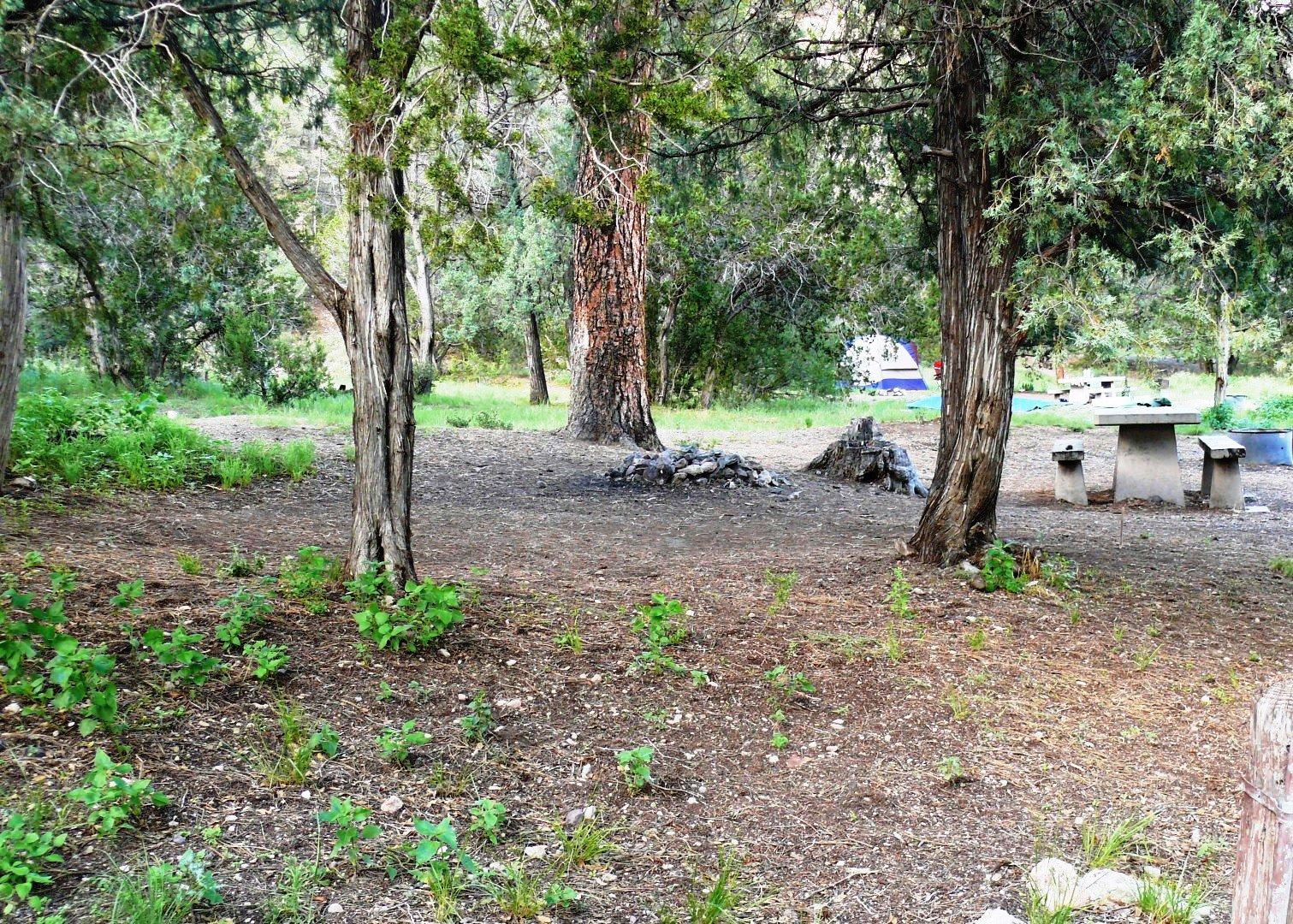 Upper Scorpion Campground photo 2