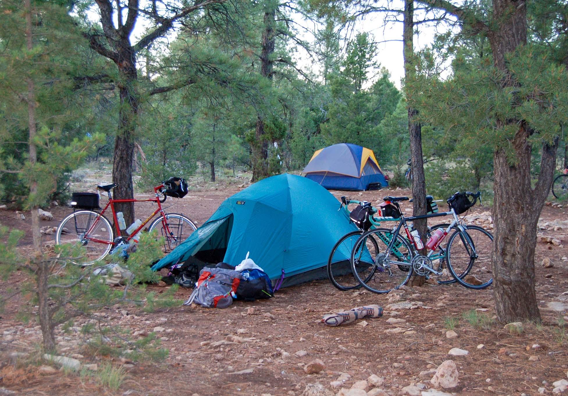 Verkamp's Visitor Center (South Rim) photo 4