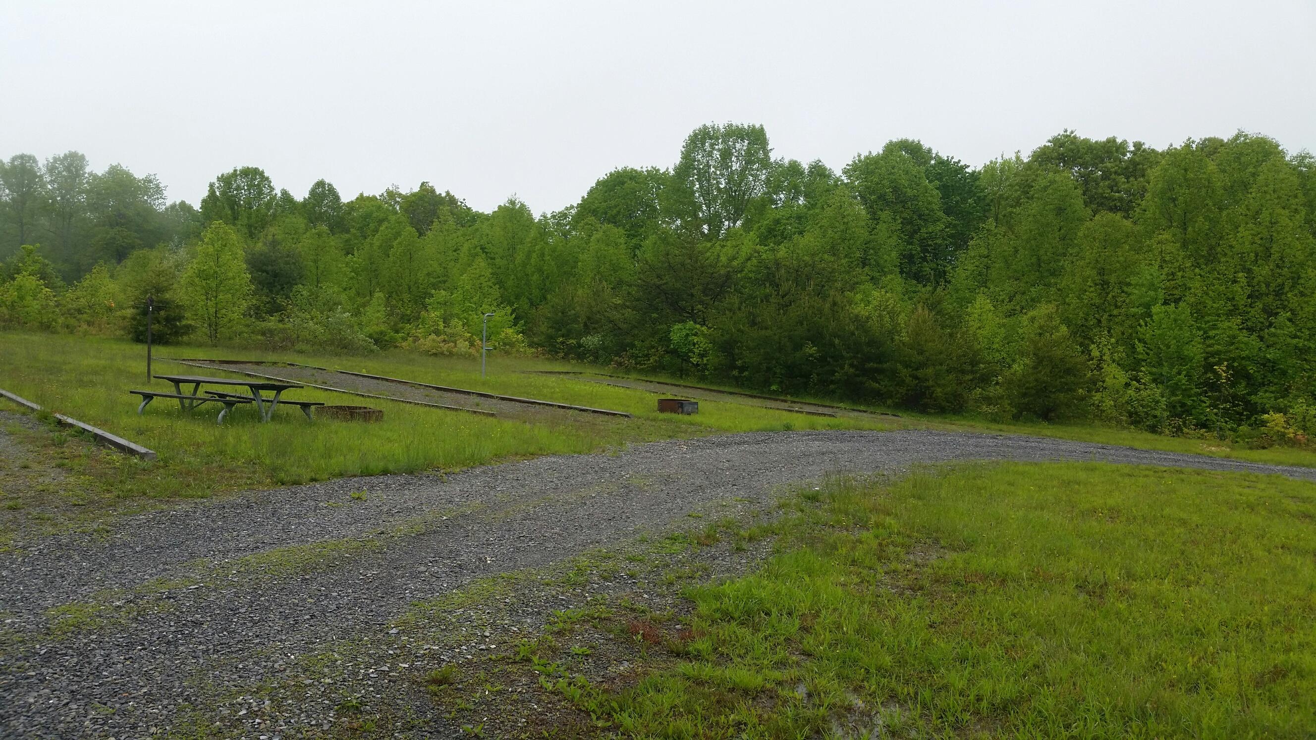 War Ridge/Backus Mountain Campground photo 3