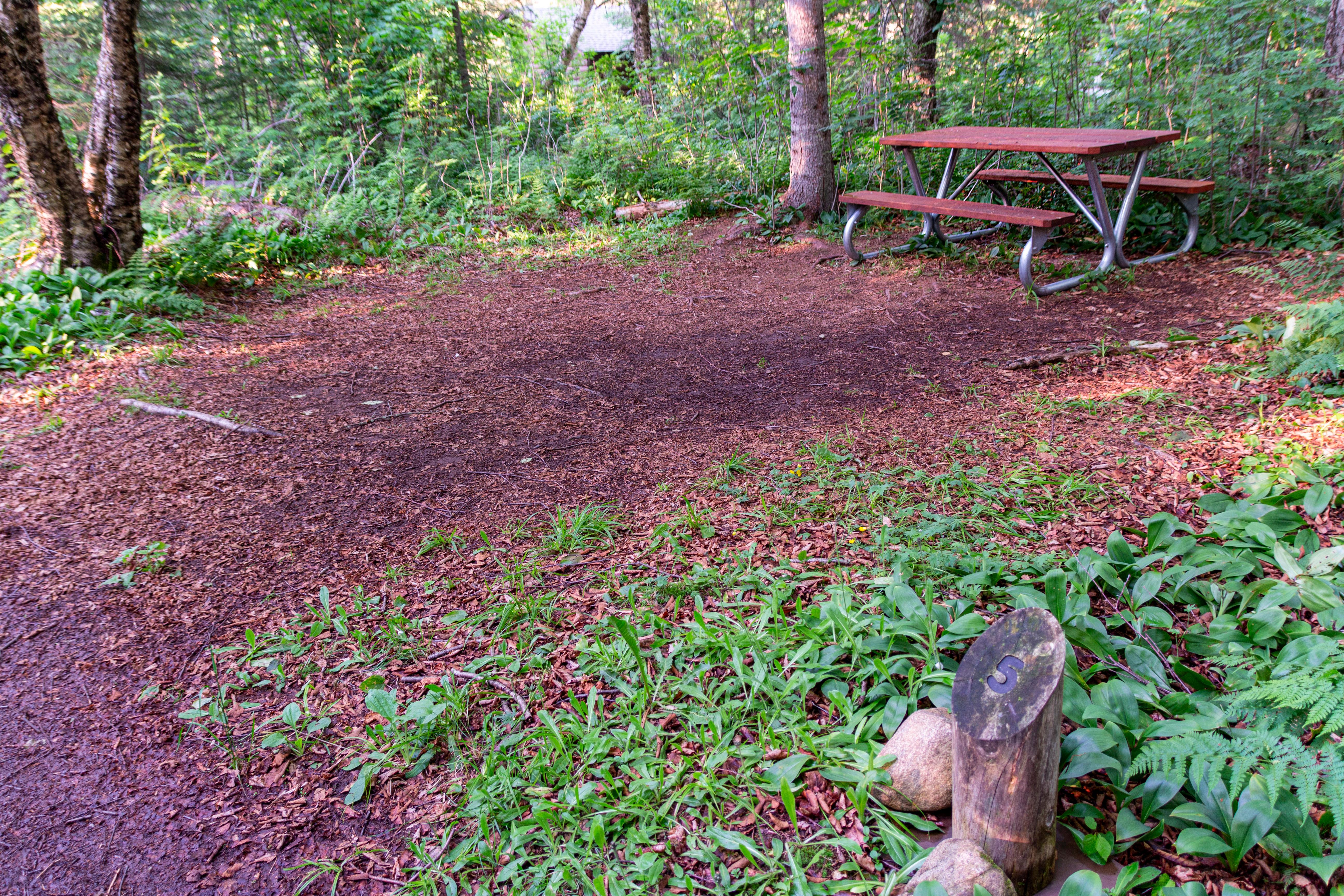 Washington Creek Campground photo