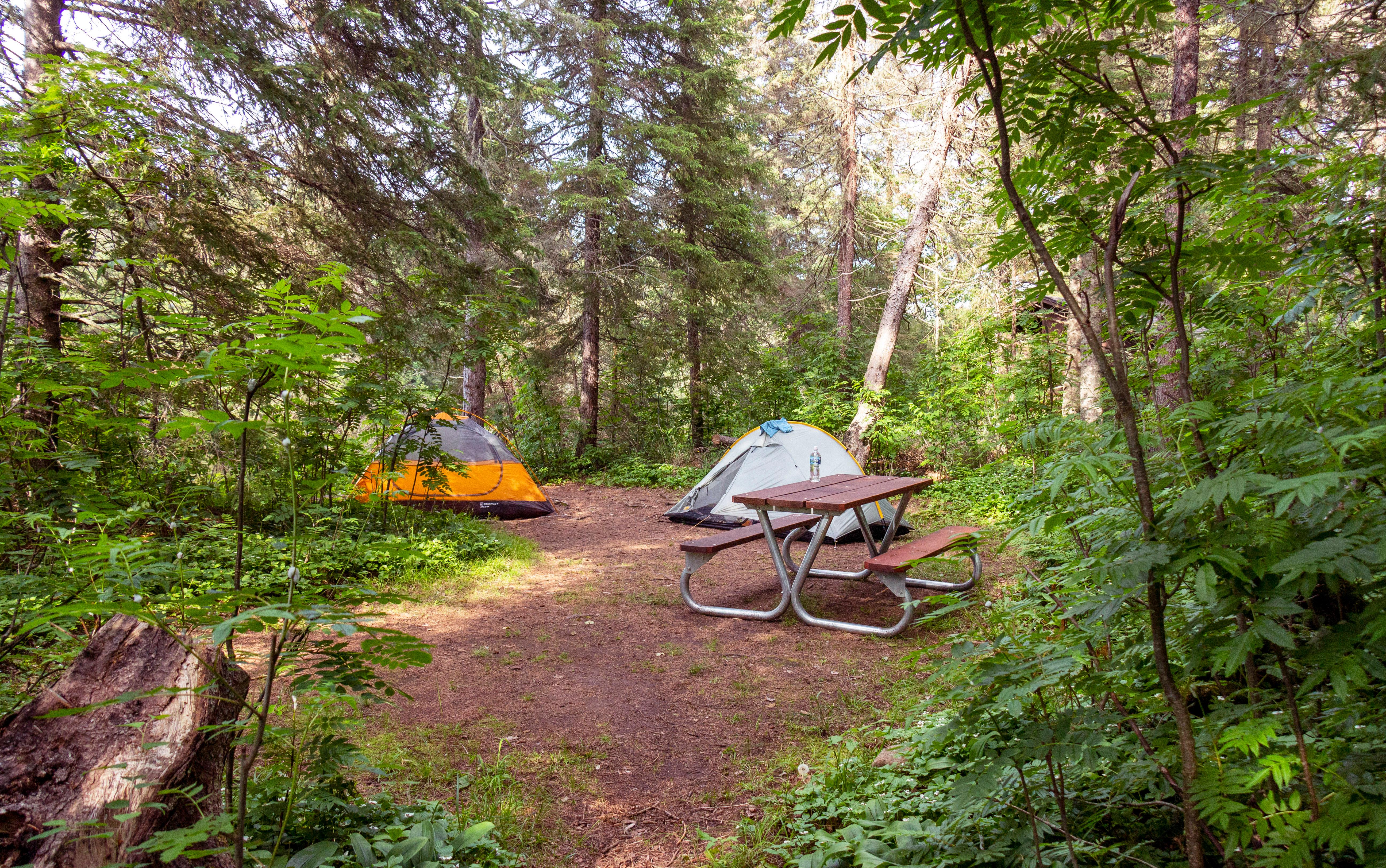 Washington Creek Campground photo 3
