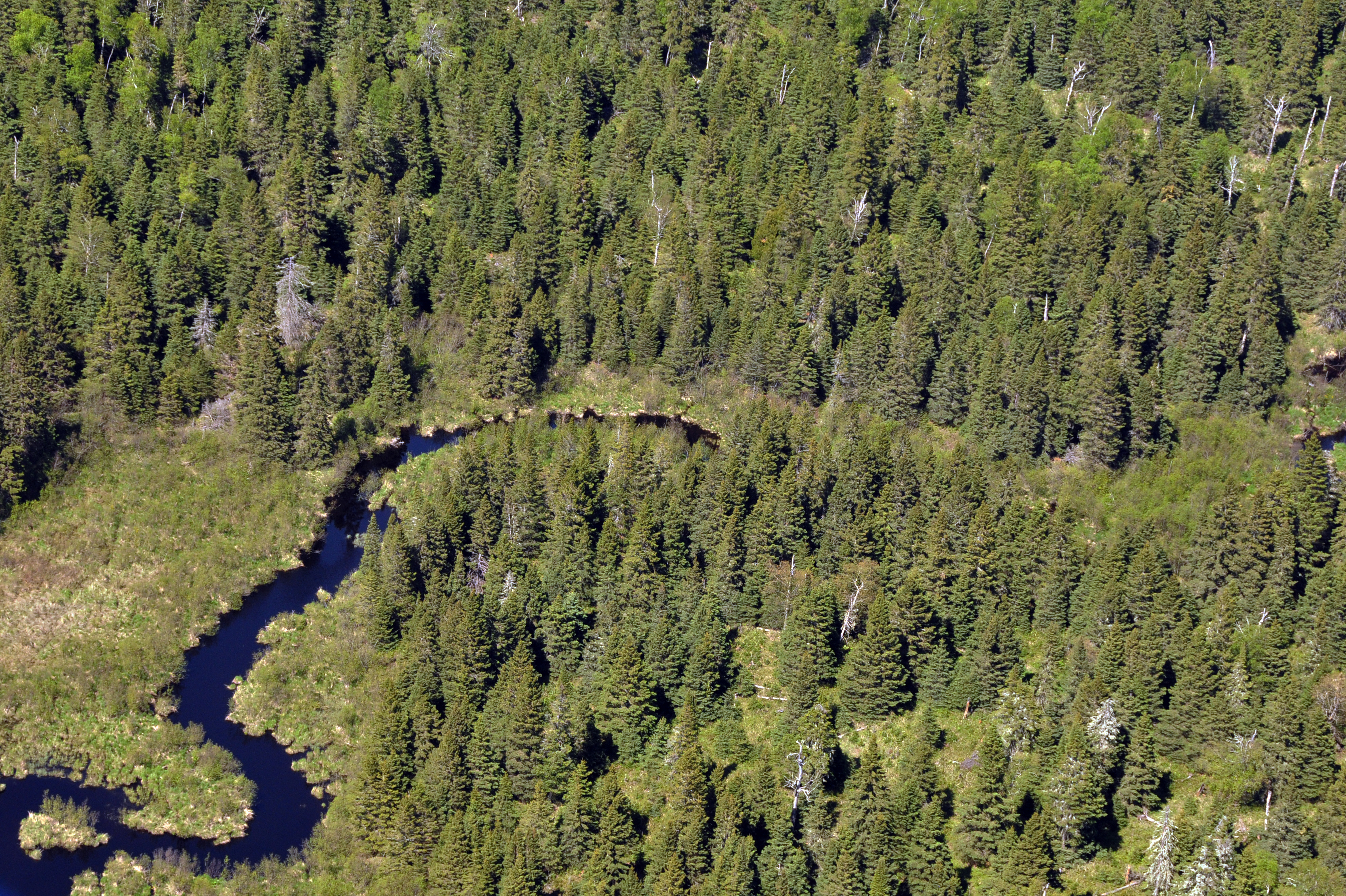 Washington Creek Campground photo 4