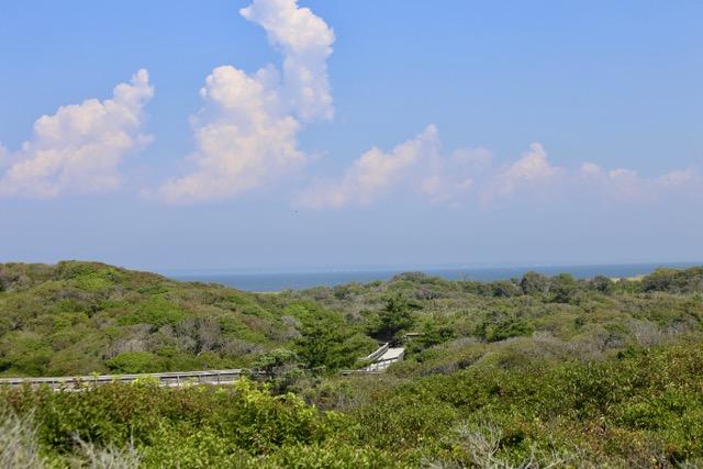 Watch Hill Campground photo 4