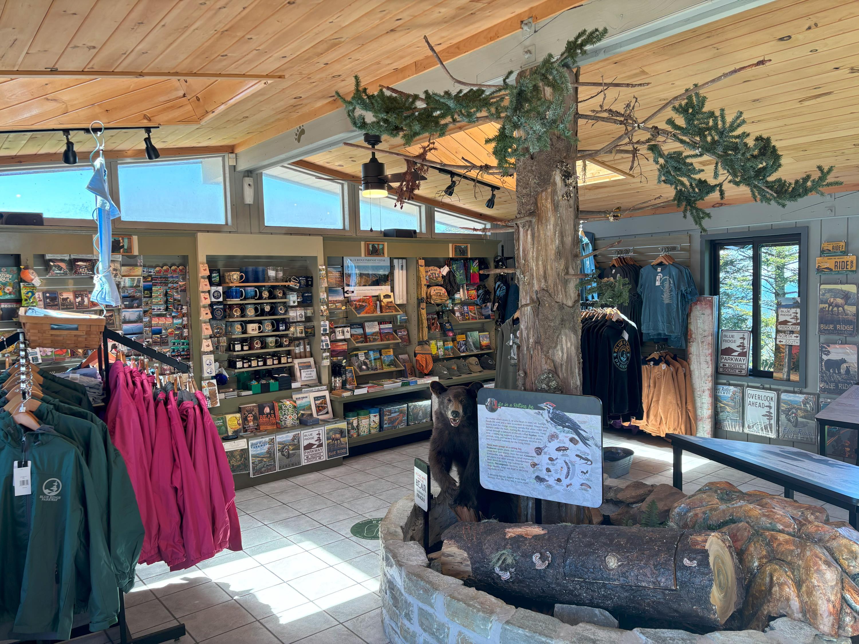 Waterrock Knob Visitor Center (Milepost 451.2) photo 4