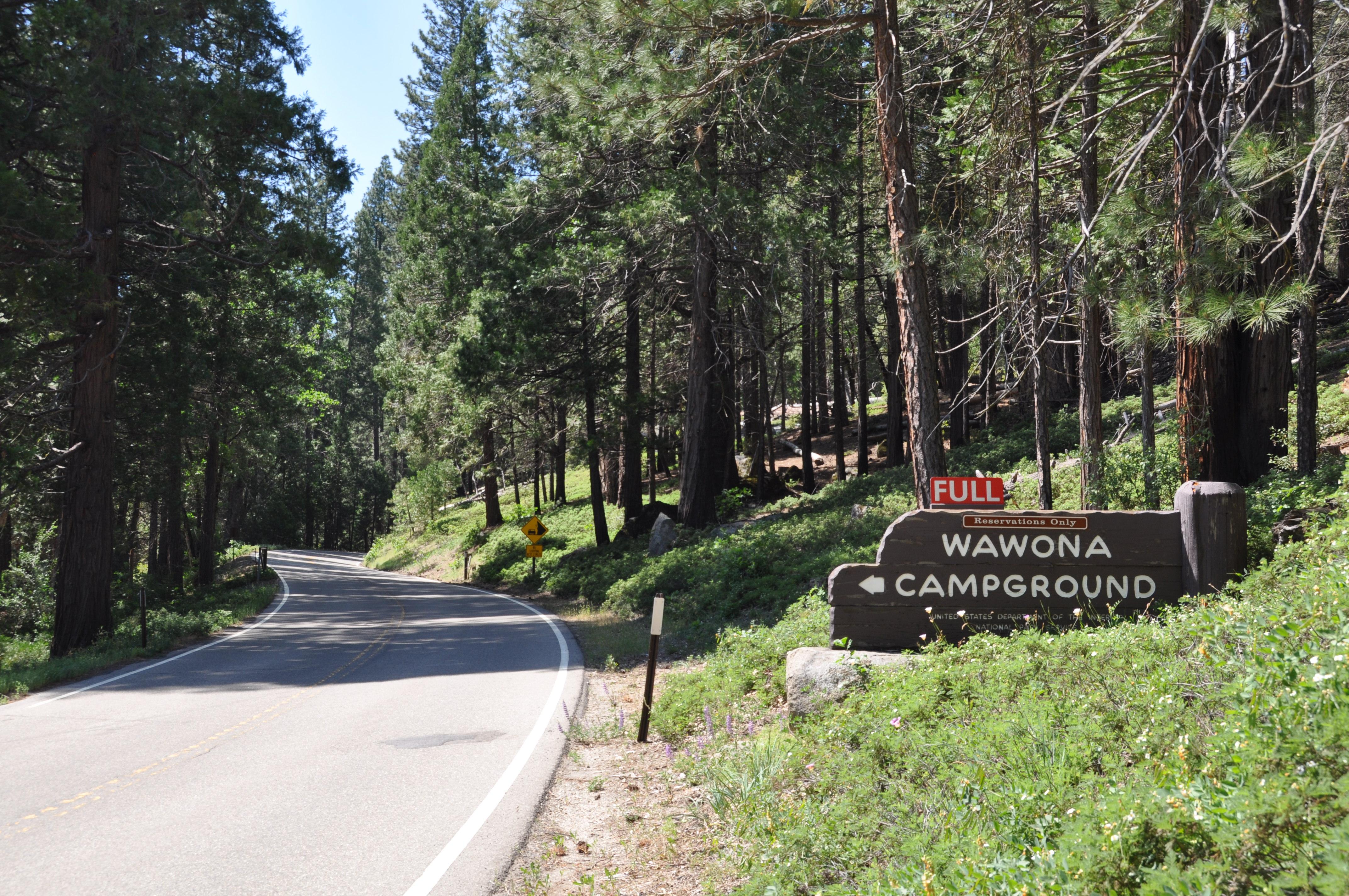 Wawona Visitor Center at Hill's Studio photo