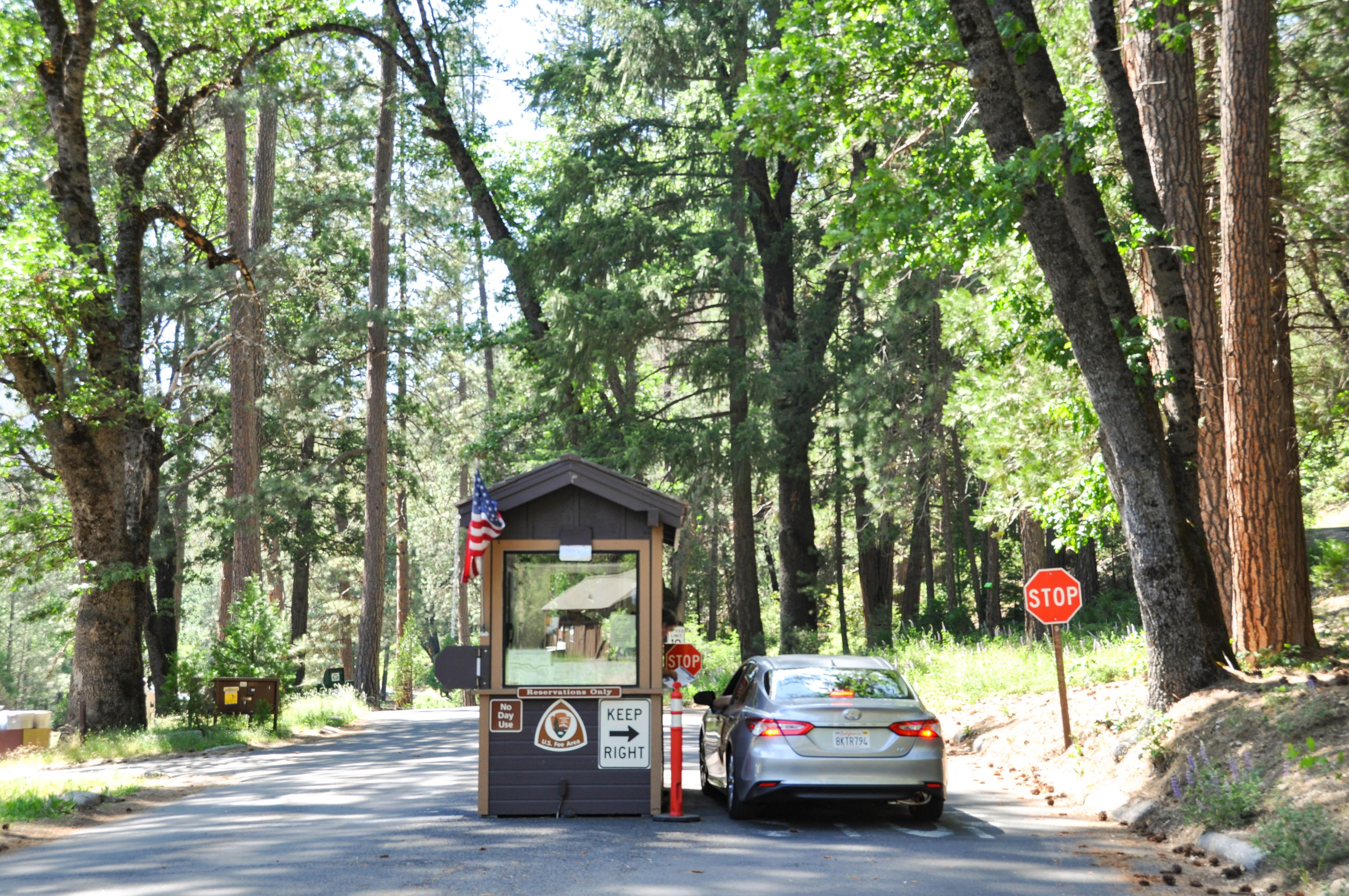 Wawona Visitor Center at Hill's Studio photo 2