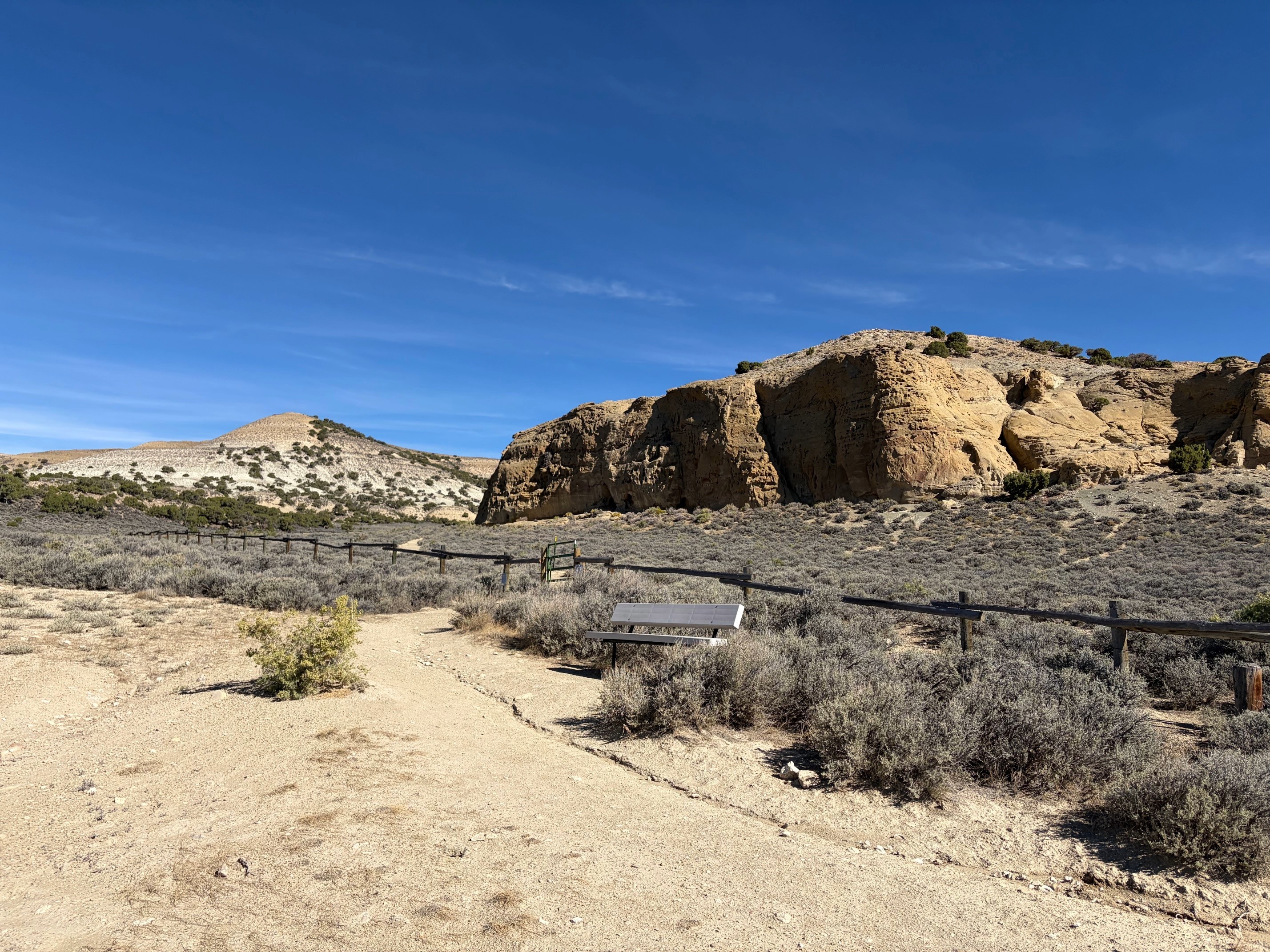 White Mountain Petroglyphs photo