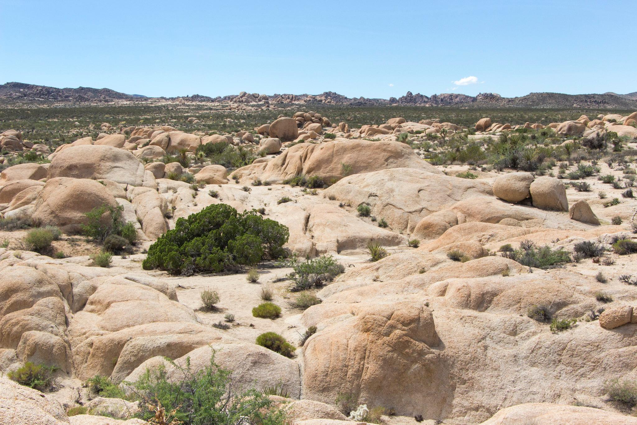 White Tank Campground photo