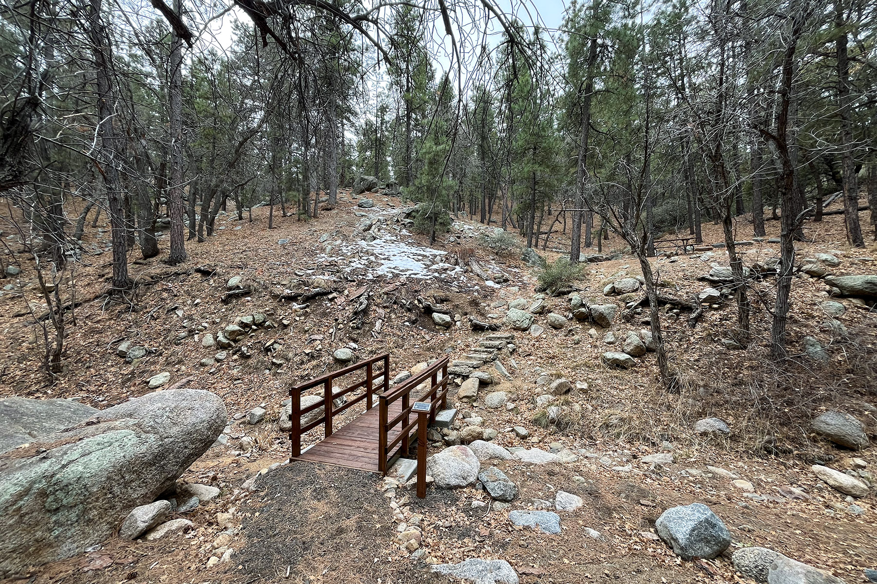 Wild Cow Springs Campground photo