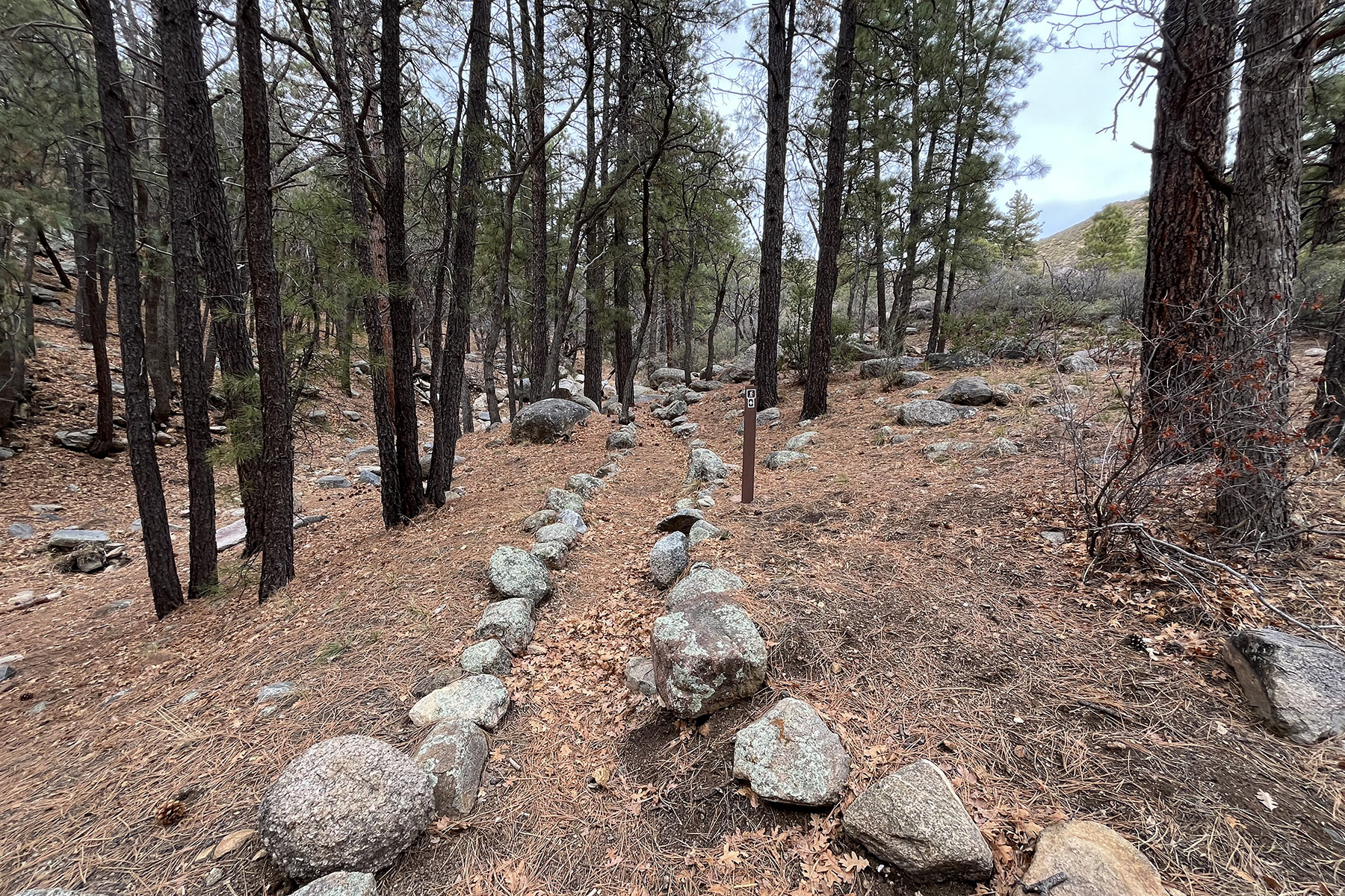 Wild Cow Springs Campground photo 2