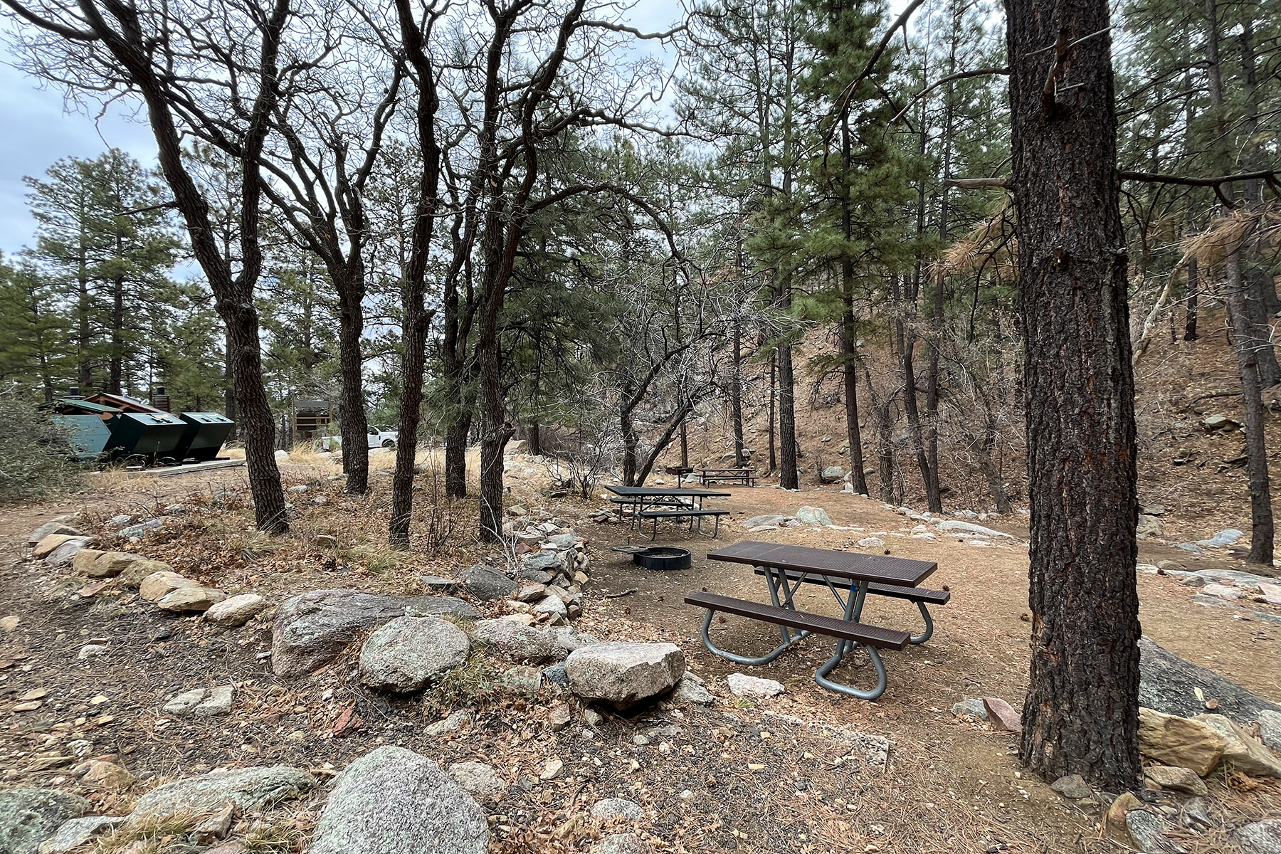 Wild Cow Springs Campground photo 3
