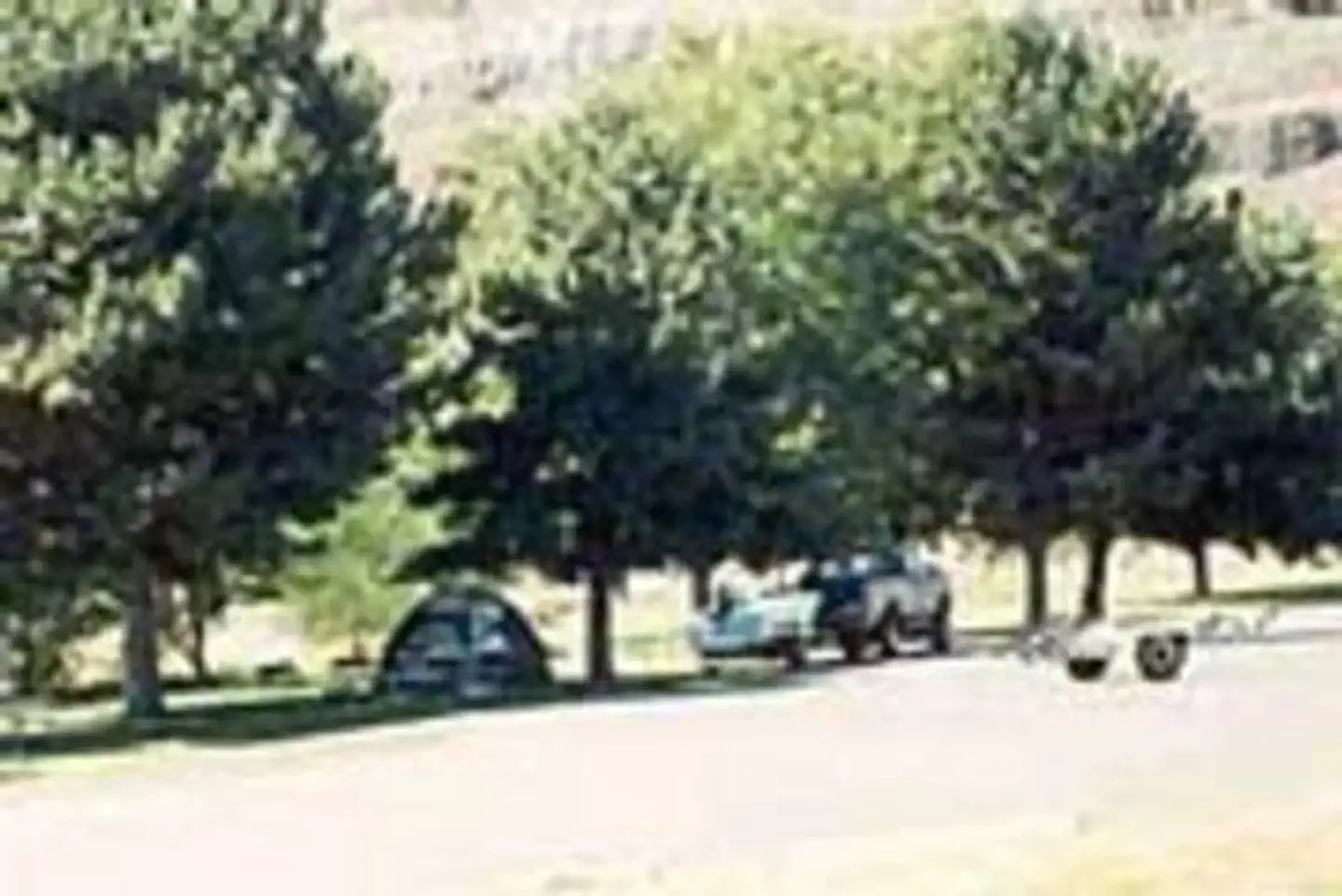 WINDUST PARK photo 4