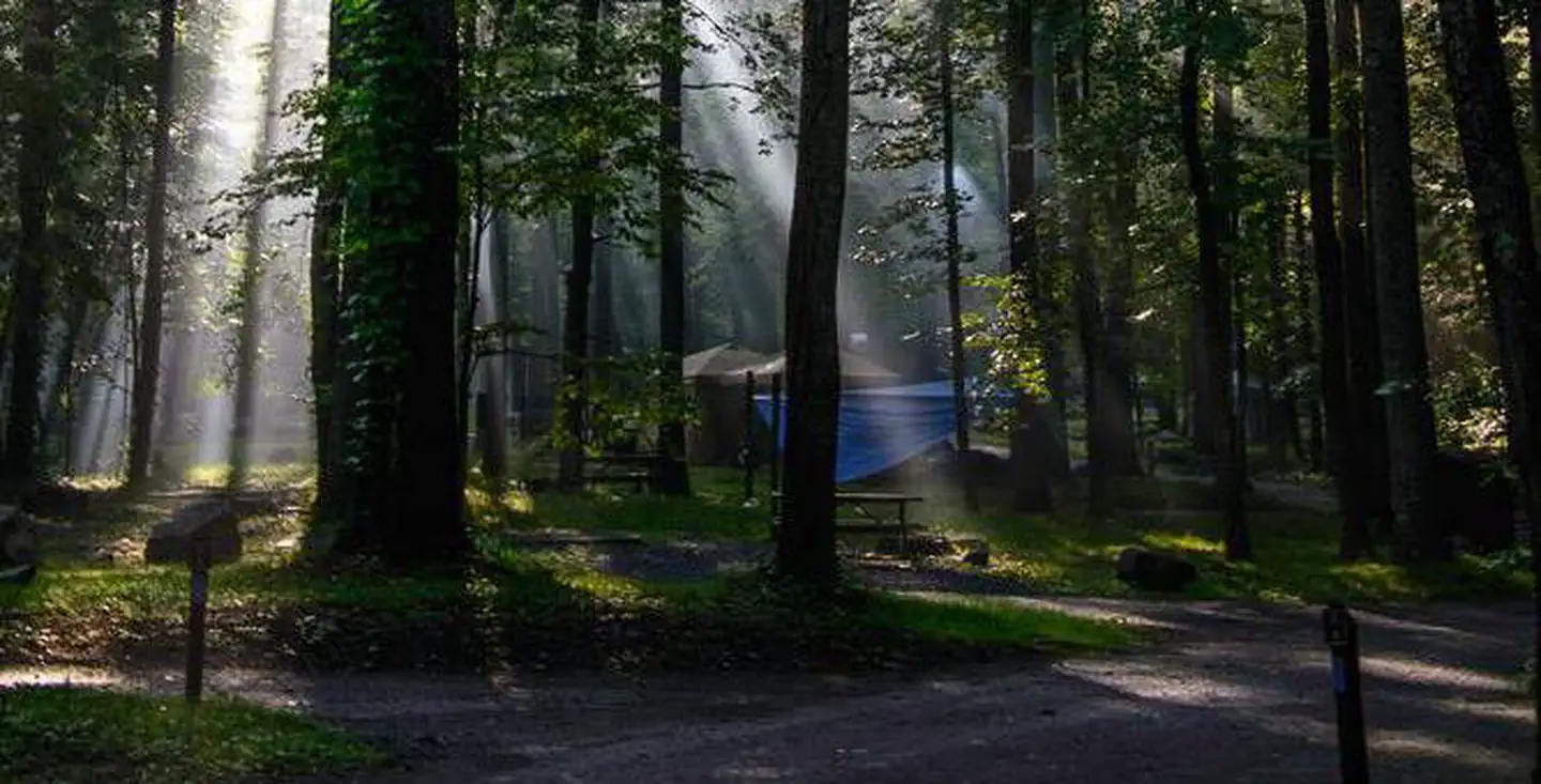 ABRAM'S CREEK CAMPGROUND photo
