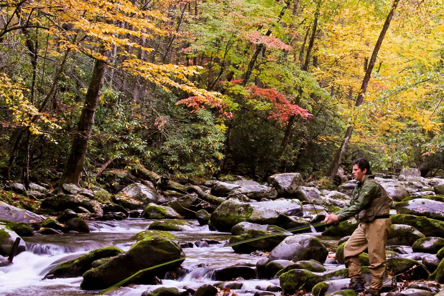 ABRAM'S CREEK CAMPGROUND photo 2