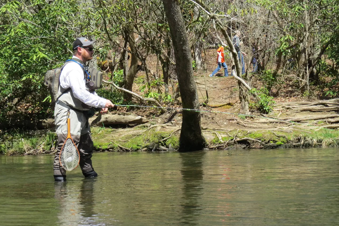 ABRAM'S CREEK CAMPGROUND photo 3