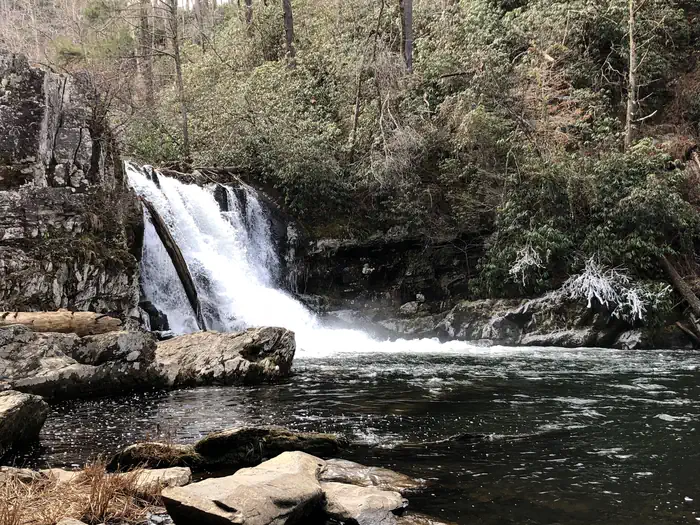 ABRAM'S CREEK CAMPGROUND photo 4