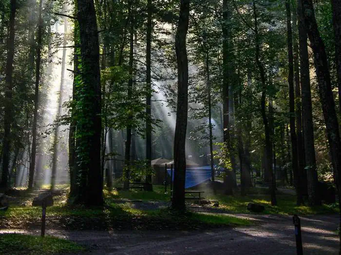 ABRAM'S CREEK CAMPGROUND photo 5