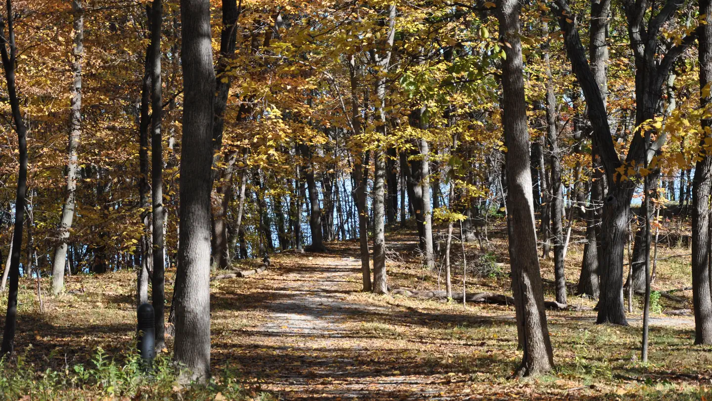 ACORN VALLEY photo