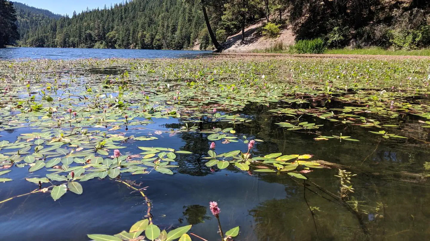 Acorn Woman Lakes photo 2
