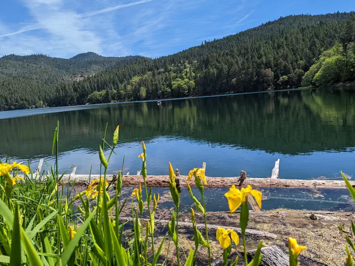 Acorn Woman Lakes photo 3