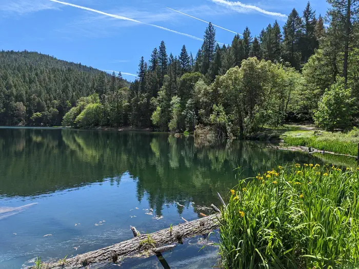 Acorn Woman Lakes photo 4