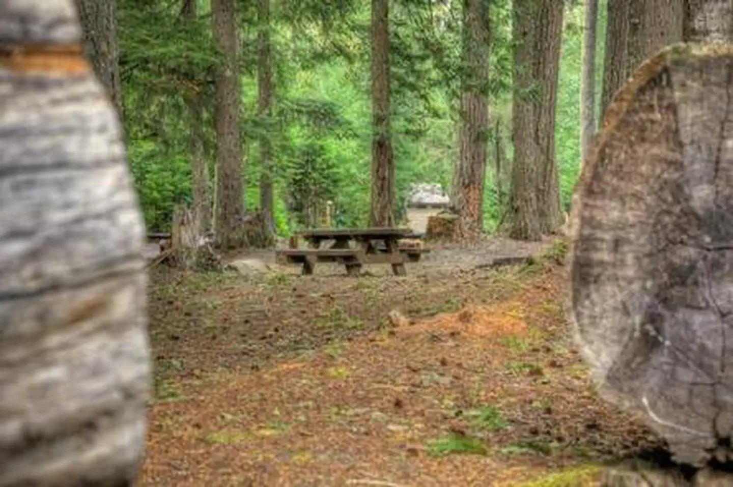 Adams Fork Campground photo 3
