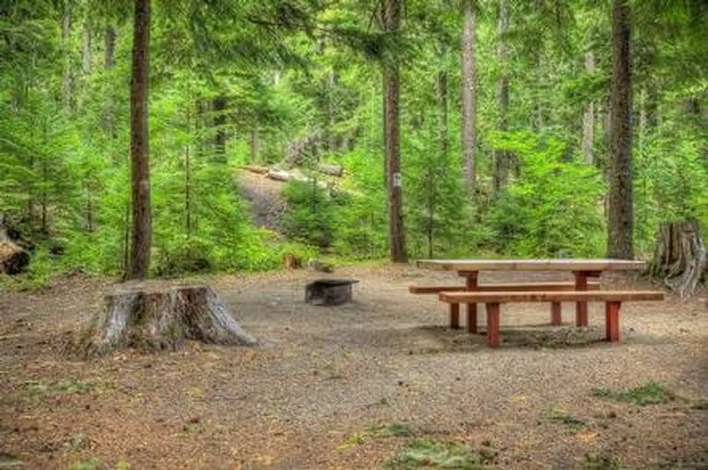 Adams Fork Campground photo 4