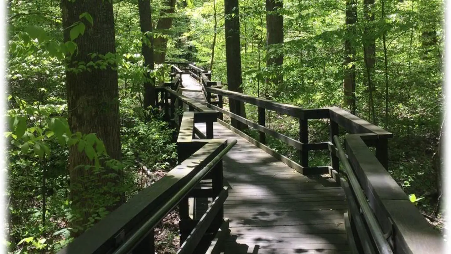 Adirondack Shelters photo