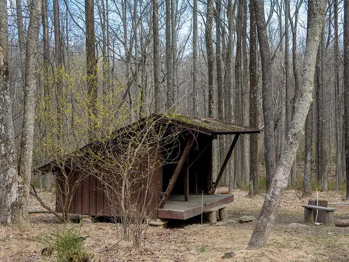 Adirondack Shelters photo 2
