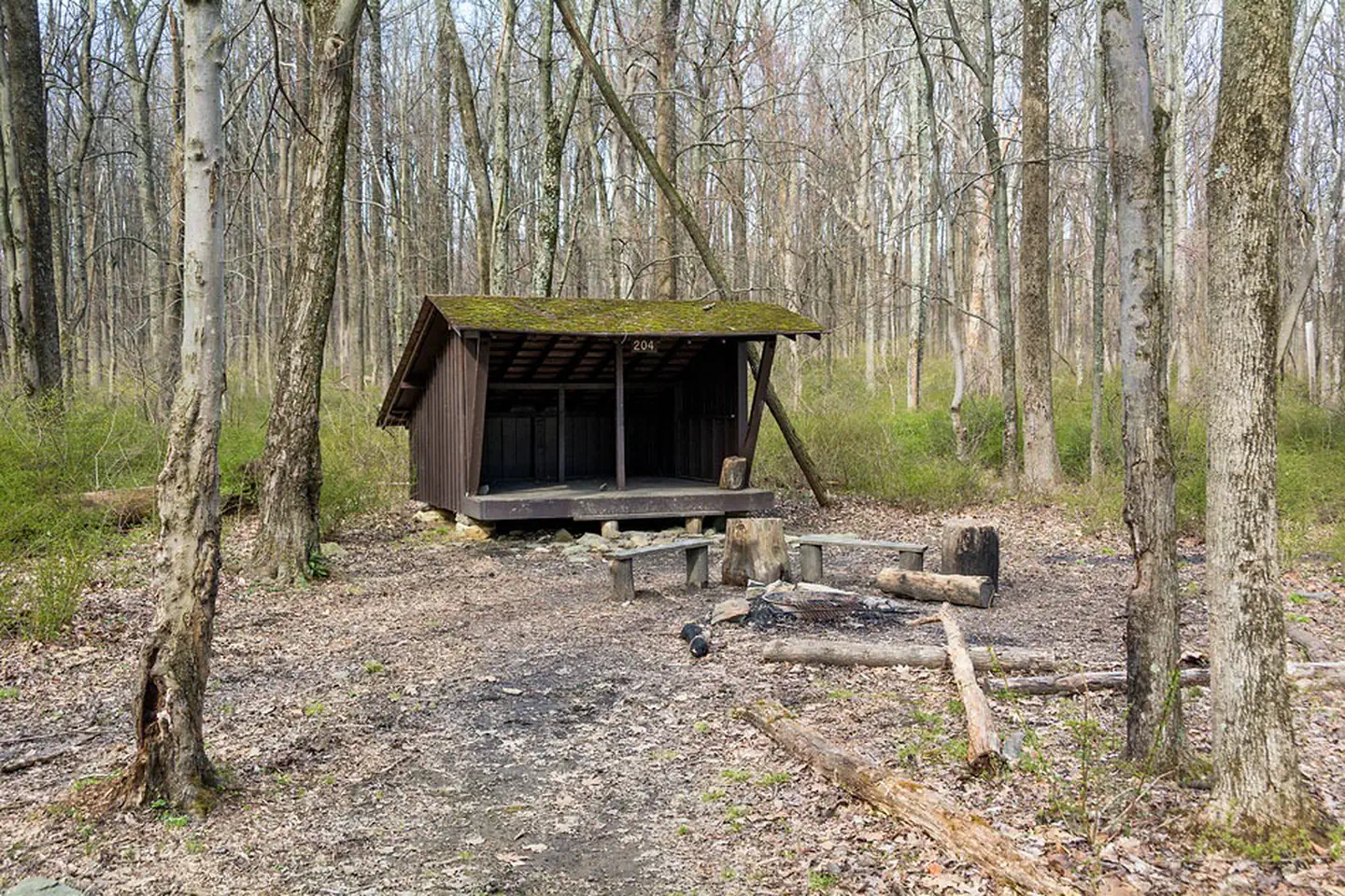 Adirondack Shelters photo 3