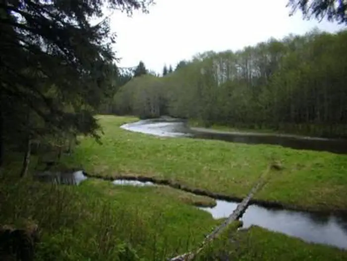 ADMIRALTY COVE CABIN photo 5