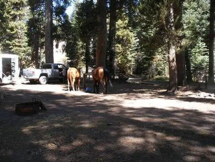 AGNEW HORSE CAMP photo 2