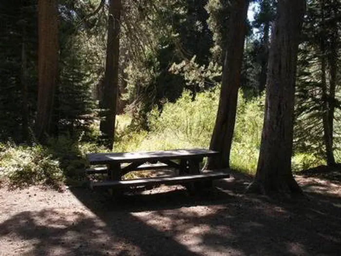 AGNEW HORSE CAMP photo 3