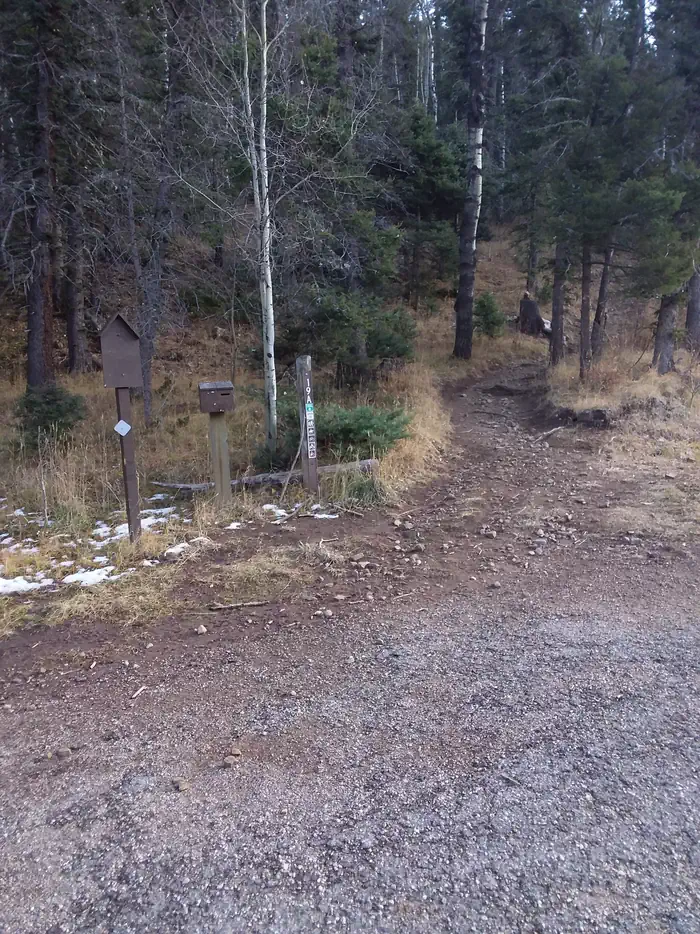 Agua Piedra Campground photo 4