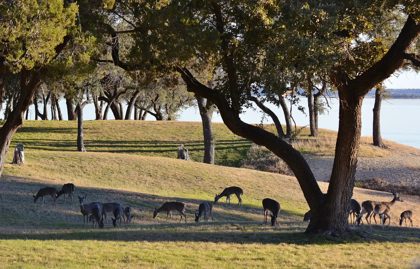 AIRPORT PARK photo 3